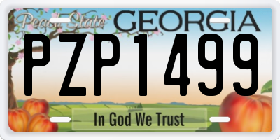 GA license plate PZP1499