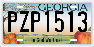 GA license plate PZP1513