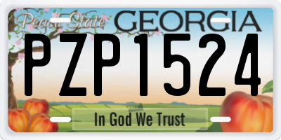 GA license plate PZP1524
