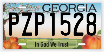 GA license plate PZP1528