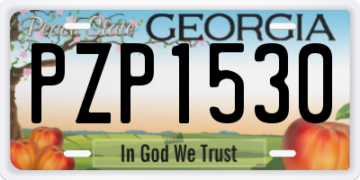 GA license plate PZP1530