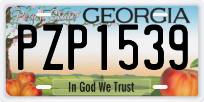 GA license plate PZP1539