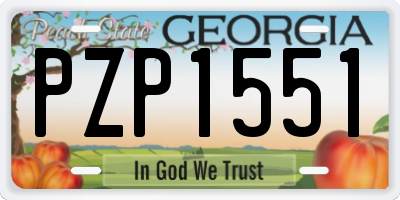GA license plate PZP1551