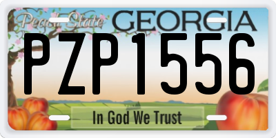 GA license plate PZP1556