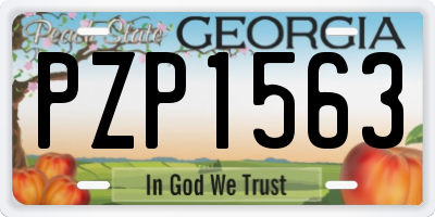 GA license plate PZP1563