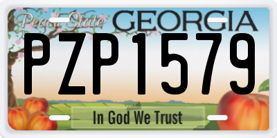 GA license plate PZP1579