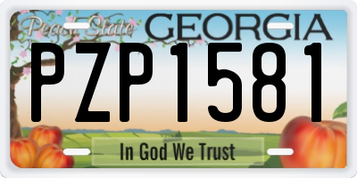 GA license plate PZP1581