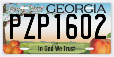 GA license plate PZP1602