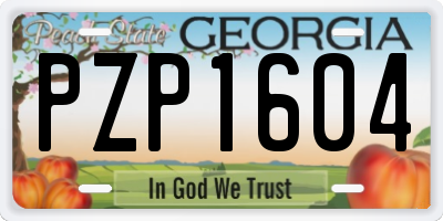 GA license plate PZP1604