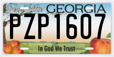 GA license plate PZP1607