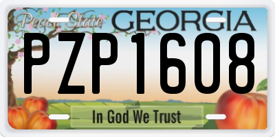 GA license plate PZP1608