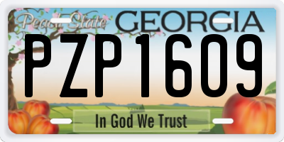 GA license plate PZP1609