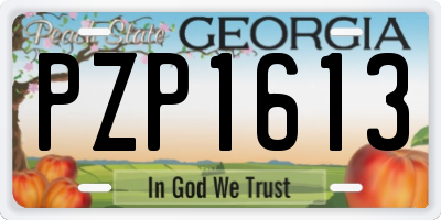 GA license plate PZP1613