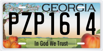 GA license plate PZP1614