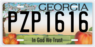 GA license plate PZP1616