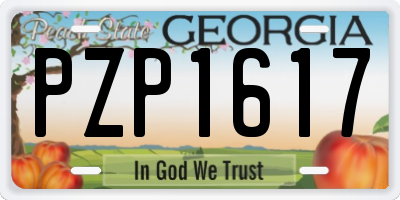 GA license plate PZP1617