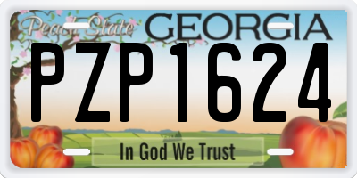 GA license plate PZP1624