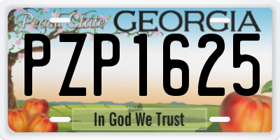 GA license plate PZP1625