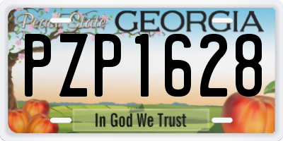 GA license plate PZP1628