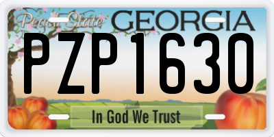 GA license plate PZP1630
