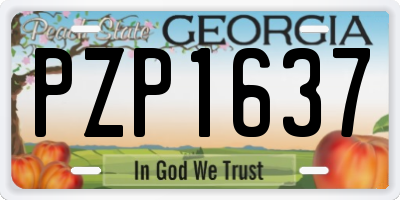 GA license plate PZP1637
