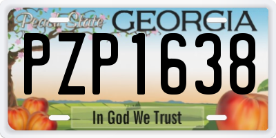 GA license plate PZP1638