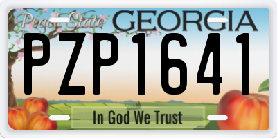 GA license plate PZP1641