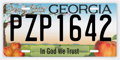 GA license plate PZP1642
