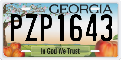 GA license plate PZP1643