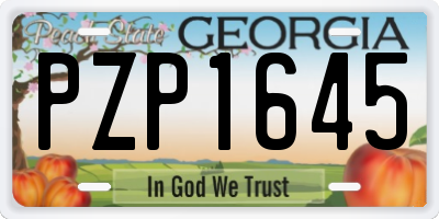 GA license plate PZP1645