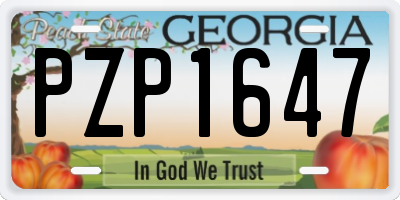 GA license plate PZP1647