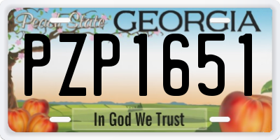 GA license plate PZP1651