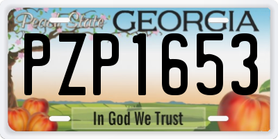 GA license plate PZP1653