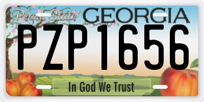 GA license plate PZP1656