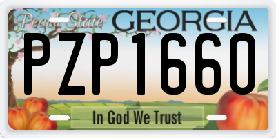 GA license plate PZP1660