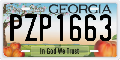 GA license plate PZP1663
