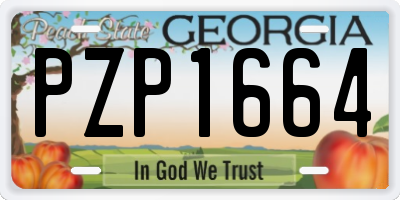 GA license plate PZP1664