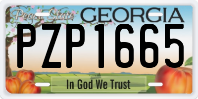 GA license plate PZP1665