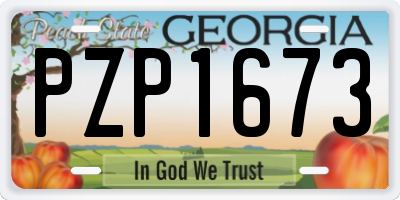 GA license plate PZP1673