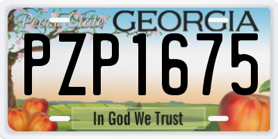 GA license plate PZP1675