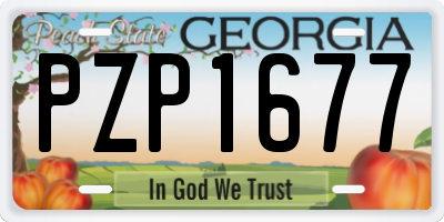 GA license plate PZP1677