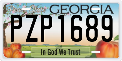 GA license plate PZP1689