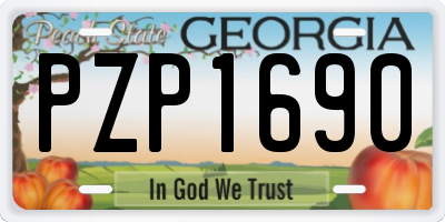 GA license plate PZP1690