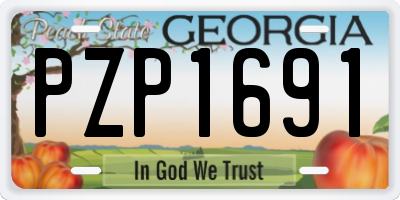 GA license plate PZP1691
