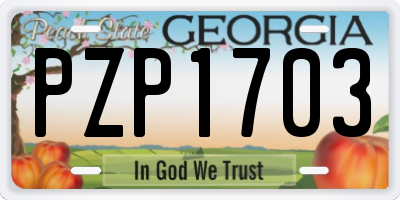 GA license plate PZP1703