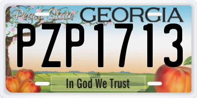 GA license plate PZP1713