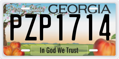 GA license plate PZP1714