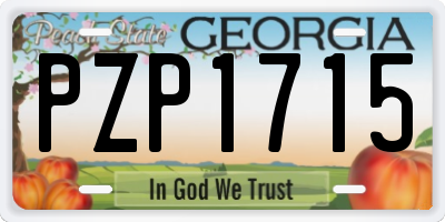 GA license plate PZP1715