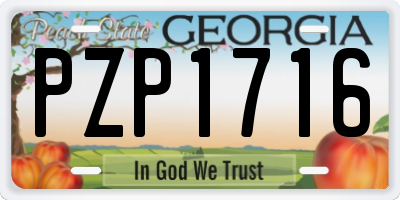 GA license plate PZP1716