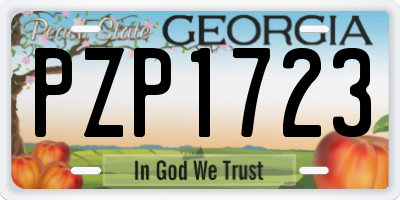 GA license plate PZP1723